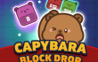 Capybara Block Drop Capybara Block Drop img