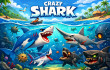 Crazy Shark Crazy Shark img