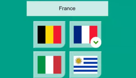 Flag Quiz img