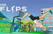 Mr Flip img