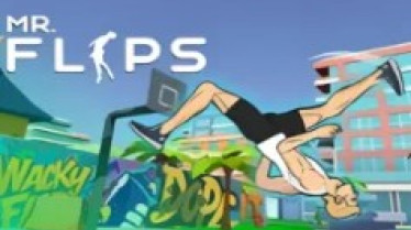 Mr Flip img