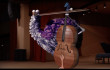 Viola the Bird Viola the Bird img